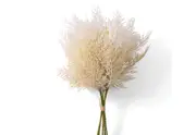 FRITA 42cm Stem