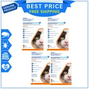 Revolution Plus for Cats 2.5 to 5 Kg Orange 3,6,12 Pipettes Worm Flea Prevention