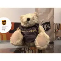 在飛比找蝦皮購物優惠-Artlife ㊁ UPS Parcel TED BEAR 