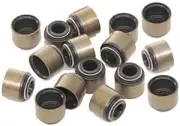 INLET & EXHAUST VALVE STEM SEAL SET FOR HOLDEN COMMODORE VS VT VU VX VY 3.8L V6