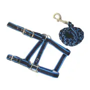 Anipal Comfort Horse Halter And Lead Pacific Ocean