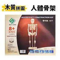 在飛比找樂天市場購物網優惠-DIY木質拼圖 人體骨架 G-P076 /一個入(促49)B