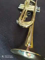 Heavy D2H Mouthpiece Berkeley Bb Ab Switching Trumpet w/Engrave Monette LP