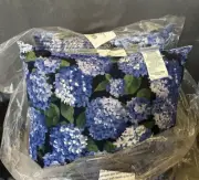 2 Plow & Hearth Outdoor 22” Square Pillow Midnight Navy Hydrangea UV Protection