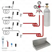 3 Tap Home Brew Beer Ball Lock Keg Kegerator or Keezer Conversion Kit + CO2 Tank