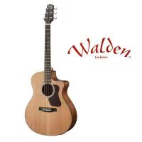 在飛比找松果購物優惠-☆唐尼樂器︵☆分期免運 Walden NATURA G570