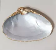 SHELL Hand Painted natural look with PEARL Gold Leaf Trim One of a Kind Gift