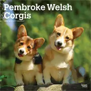 2025 Welsh Corgis Pembroke Wall Calendar