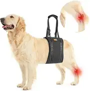 Dog Lift Harness Pet Sling Support - Dog Lifting Harness Vest for Rear Legs with Reflective Band Adjustable Straps Detachable Fleece for Medium Large Dogs All Season Available Black