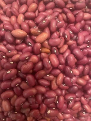 White beans Red beans Lentil, Yellow peas Black eye Bulk Dried Beans 5 lb. Bag