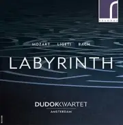 Bach,J.S. / Mozart / Driel / Wester / Vries - Labyrinth [New CD]