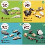 《台灣現貨》休眠動物園 睡眠動物扭蛋 轉蛋ZOO TOMY T-ARTS