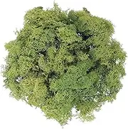 uxcell Preserved Reindeer Moss, 7oz Fake Moss for Crafts Artificial Dried Moss for Decoration Terrariums Potted Plants, Dark Green