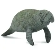 CollectA Manatee