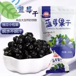 灣島碼頭精選食品獨立小包裝 藍莓乾250G 小包裝蜜餞水果乾