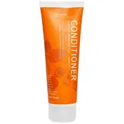 Acure Organics, Conditioner, Moroccan Argan Stem Cell + Argan Oil. 235 ml, 8 fl oz