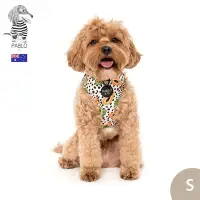 在飛比找Yahoo奇摩購物中心優惠-澳洲Pablo & Co 可調整式胸背帶 寵物胸背帶 狗狗胸