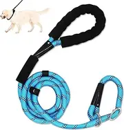 Dog Leads Slip Lead, 5FT/1.5M Reflective Threads Anti-Pull Leads Slip Rope Strong Nylon Tape with Soft Padded Handle, Anti-Slip Lead for Puppy, Medium Large Dogs (Blue)