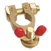 Projecta Brass Battery Terminal with Wingnut Positive