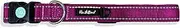 Huskimo Trekpro Dog Collar in Aurora - Small