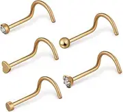 [VALICLUD] 5pcs Nose Set Nose Ring Nose Studs Nose Piercing Jewelry Nose Piercings Heart Nose Puncture Nasal Ring Nose Piercings Corkscrew Nose Clips Golden Stainless Steel