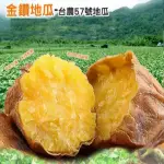 【綠之醇】量販包金鑽冰烤地瓜-1包組(3000G/包)