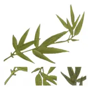 Bamboo Leaf Cloth Patch Embroidery Applique Delicate Clothes Patches