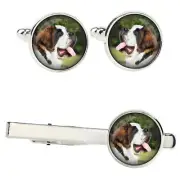 Saint Bernard set of clips in a box with a picture Art-Dog