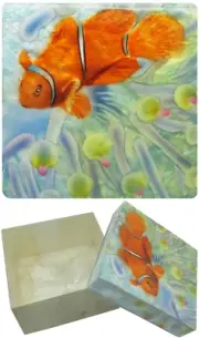 Capiz Shell Trinket Box, 4", Clownfish