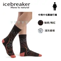 在飛比找momo購物網優惠-【Icebreaker】女 中筒中毛圈健行襪 IB10443