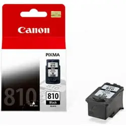 【E平台】CANON㊣原廠墨水匣 PG-810 黑色 適用CANON印表機型號iP2700/MP257/MP258/MP268/MP486/MX328/MX338/MX347/MX357/IP2770