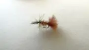 1 DOZ DF-5 CRIPPLE CALLIBAETIS (SELECT YOUR SIZE) DRY FLY