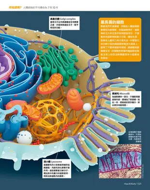 How It Works知識大圖解: 國中自然科大圖解