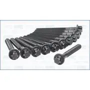 Austral Cylinder Head Bolt Set - 81028200
