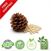 Shell-Free Original Pine Nuts Vegan No additives Pine Nuts Pine Seed Fresh