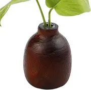 Test Tube Vases for Flowers | Small Boho Vase with Tube | Propagation Station, Home Gardening for Mom, Daughter and Girlfriend, Offices