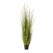 [Sleeping Giant] Fox Tail Grass Green/White - 70cm x 70cm x 170cm