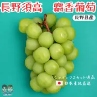 在飛比找樂天市場購物網優惠-【緁迪水果JDFruit】空運日本長野香印麝香葡萄(4L特選