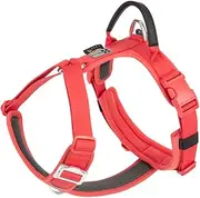 SMALL COMBINATION Dog Harness,No-pull Dog Harness,Adjustable Vest with Durable Handle,Small and medium-sized dog,Outdoor Training Walking(Red, XS)