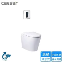 在飛比找momo購物網優惠-【CAESAR 凱撒衛浴】P排落地省水馬桶(CP1504-A