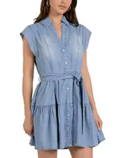 Elan Chambray Collared Button Front Mini Dress
