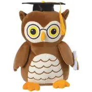 Grad Owl Bird School Graduation Theme Party Decoration Plush Balloon Weight