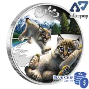2016 50c The Cubs Lynx 1/2oz Silver Proof Coin