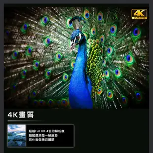 HERAN 禾聯 50吋 4K液晶顯示器 螢幕 無視訊盒 HD-50MF1
