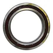 ST589 New Planet Carrier Rear Bearing Fits Case-IH Tractor Models 2504 2544 300