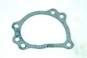 Mini Morris Leyland Clubman Moke Water Pump Gasket NEW