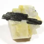 53.2 mm AMPHIBOLE CRYSTAL IN CALCITE, MARY KATHLEEN, QLD.