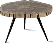Solar | Petrified Wood Coffee Table