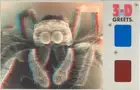 Big Eyed Hunter Jumping Spider 3D Greets Anaglyph 3-D Postcard by David Burder