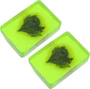 Healvian Herbal Face Cleansing Soaps 2pcs Essential Oil Soaps for Women Green Nourishing